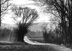 Szary + Sepia