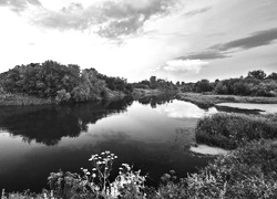 Szary + Sepia