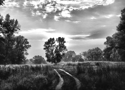 Szary + Sepia