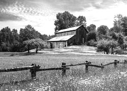 Szary + Sepia