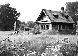 Szary + Sepia