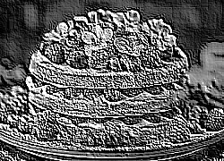 Skamielina