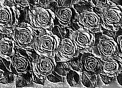Skamielina