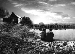 Szary + Sepia