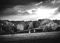 Szary + Sepia