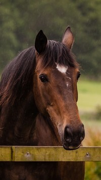 Oryginalny obrazek