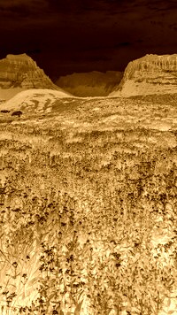 Sepia + Negatyw