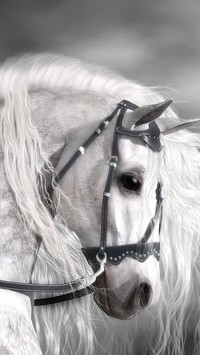 Biały koń z długą grzywą