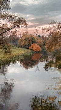 Drzewa i krzewy nad rzeką