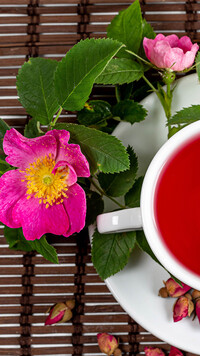 Dzikie róże przy filiżance herbaty