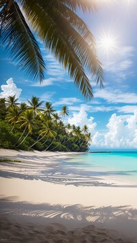 Liście palmy nad plażą