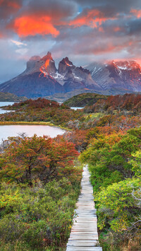 Park Narodowy Torres Del Paine w Chile