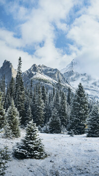 Pasmo górskie Canadian Rockies zimowa porą
