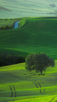 Zielone pola we Włoszech