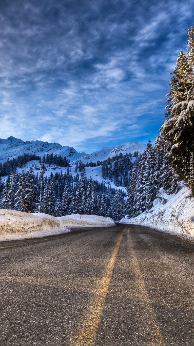 Asfaltowa zimowa droga górskich lasach
