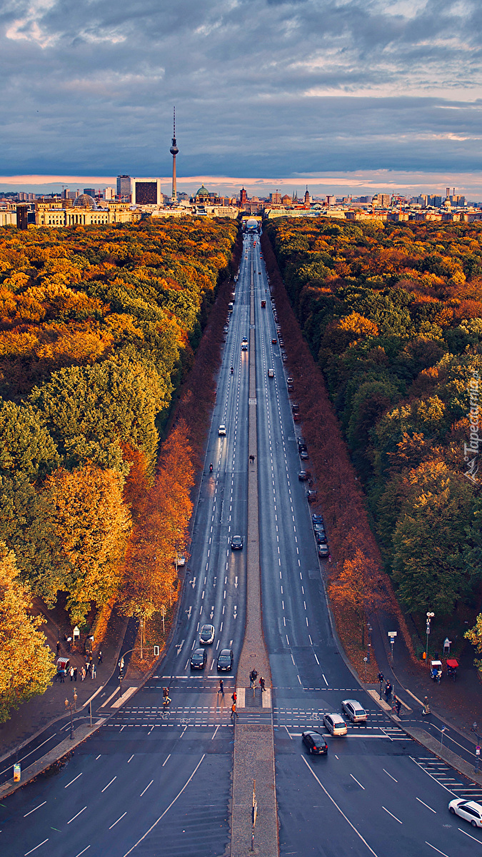 Autostrada wśród jesiennych drzew w Berlinie
