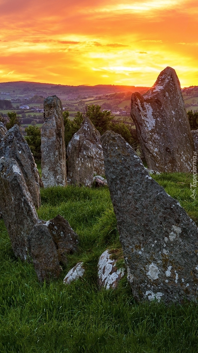 Beltany Stone Circle w Irlandii