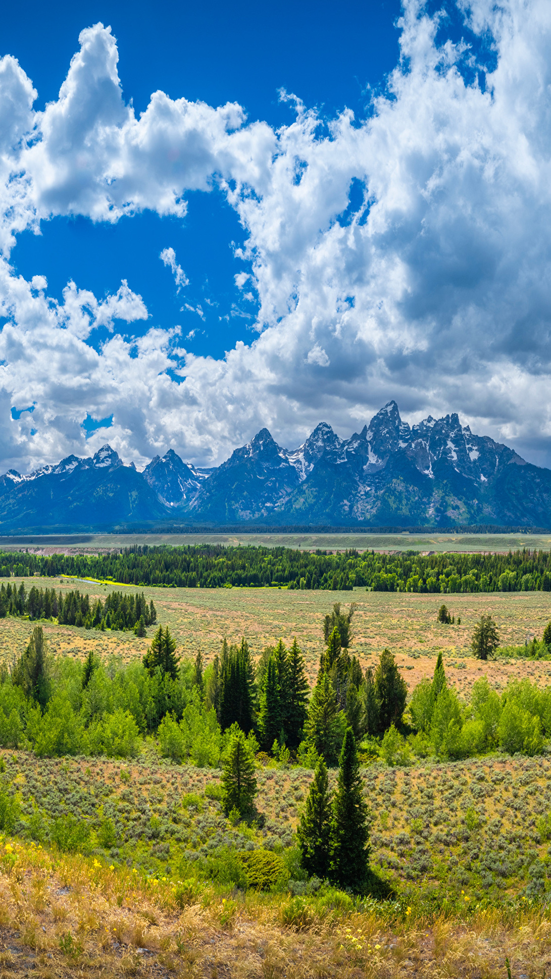 Białe chmury nad górami i równiną w Parku Narodowym Grand Teton