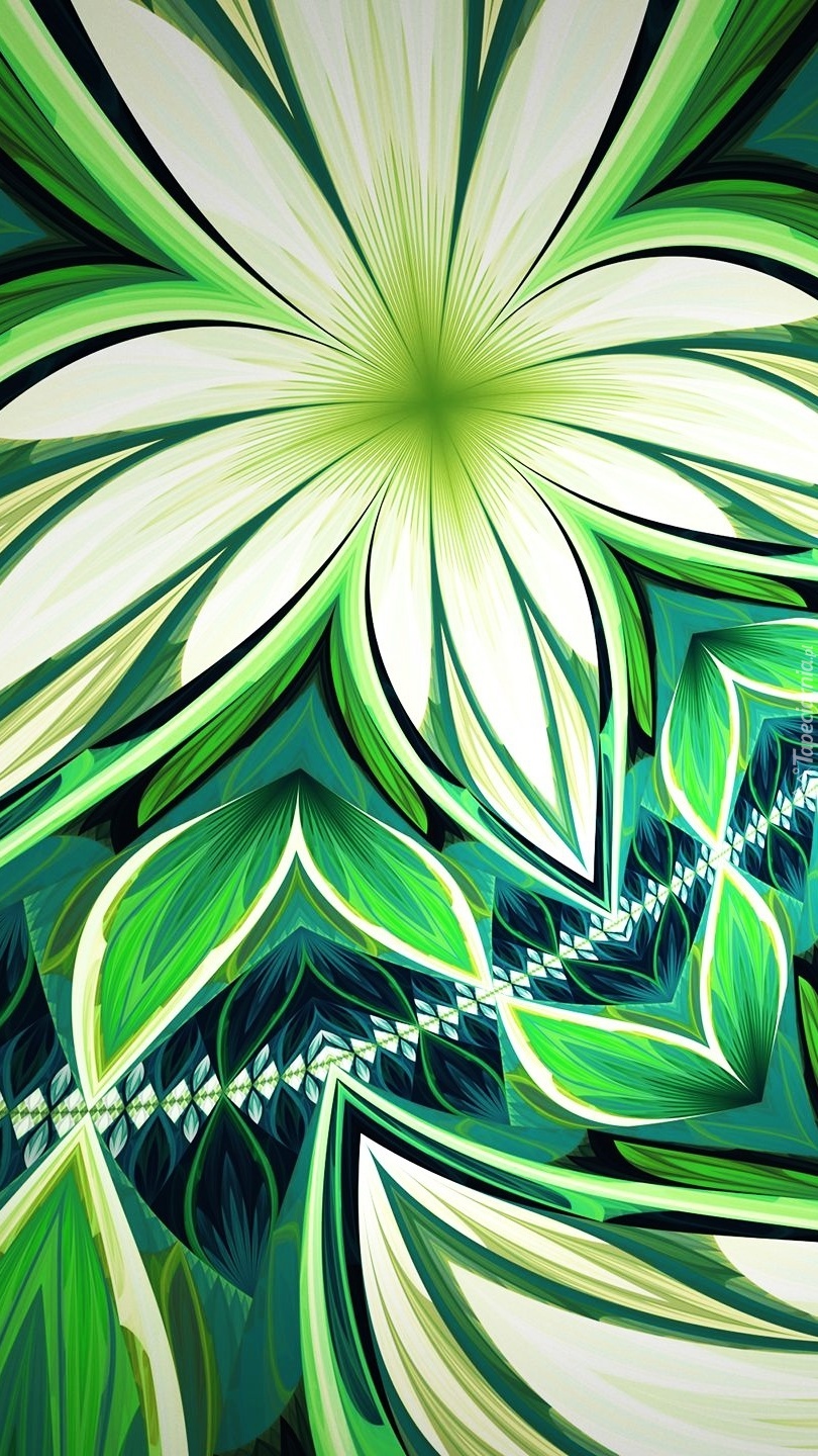 Biało-zielony kwiat