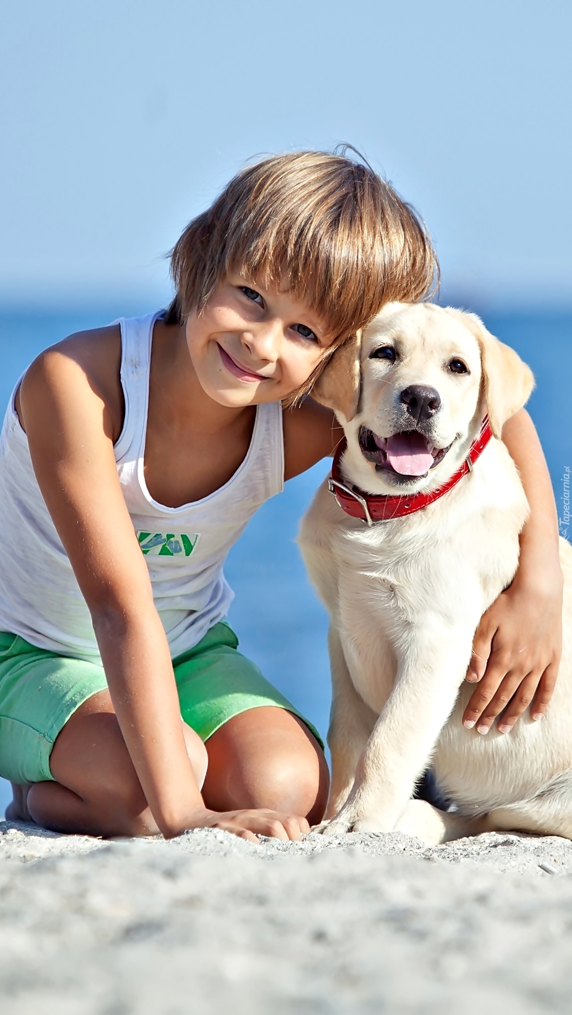 Chłopiec z psem na plaży