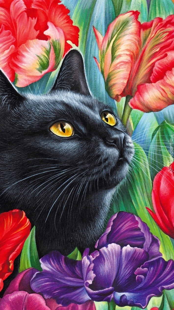 Czarny kot wśród tulipanów