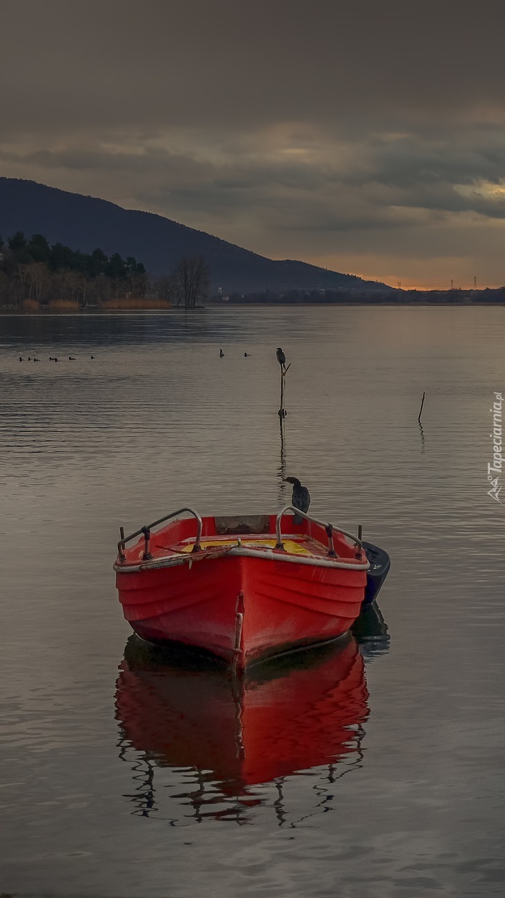 Czerwona łódka na jeziorze Kastoria w Grecji