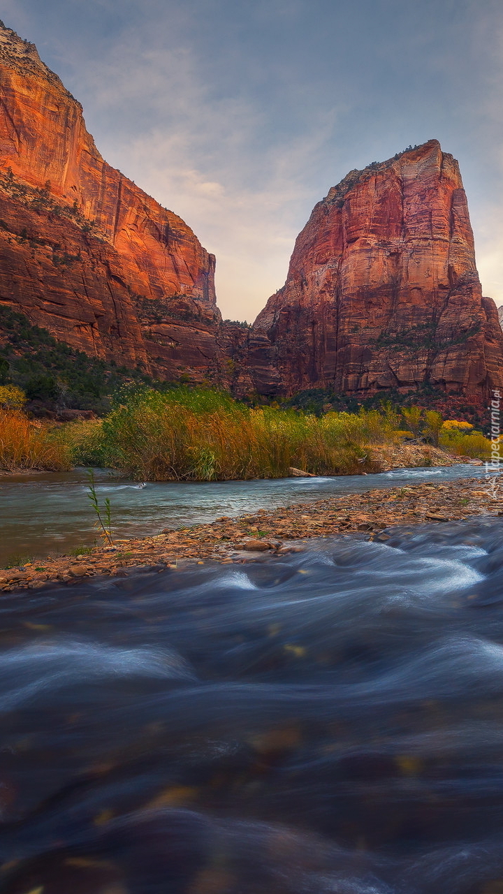 Czerwone skały nad rzeką Virgin River