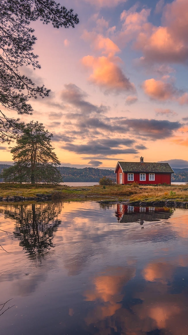 Czerwony dom i drzewa nad jeziorem w Ringerike w Norwegii