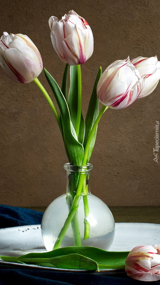 Cztery tulipany w wazoniku
