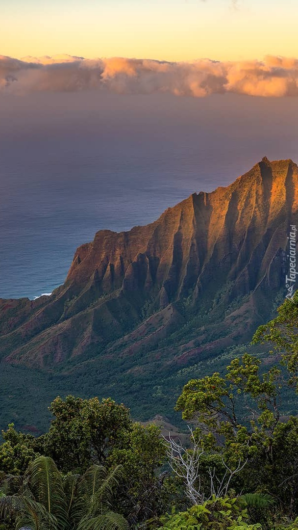 Dolina Kalalau Valley na Hawajach