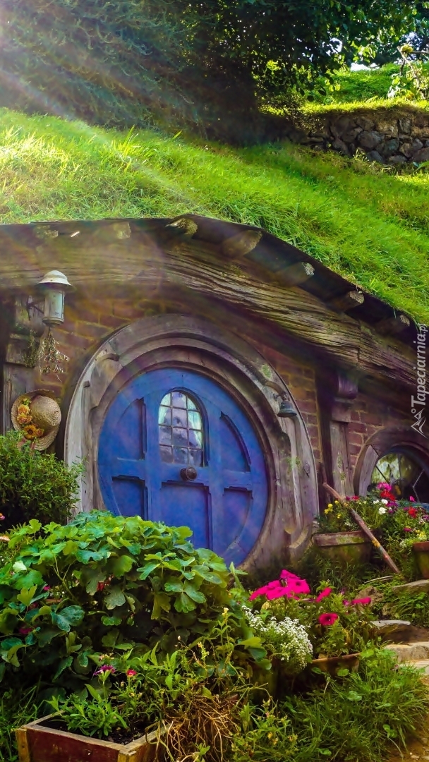 Dom Hobbita w Matamata