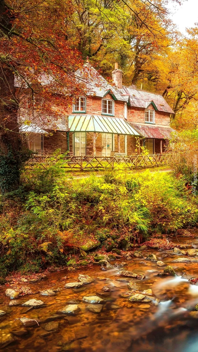 Dom nad rzeką wśród jesiennych drzew