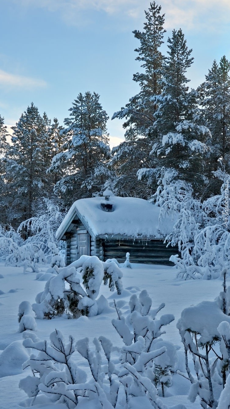 Domek w zimowym lesie