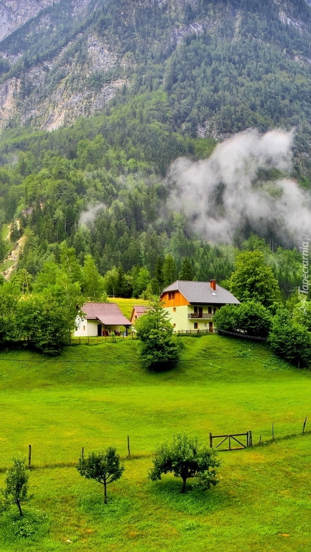 Domki w Alpach Julijskich