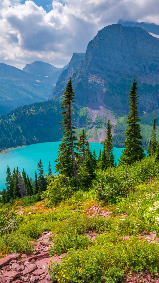 Drzewa i górskie jezioro Grinnell Lake w Parku Narodowym Glacier