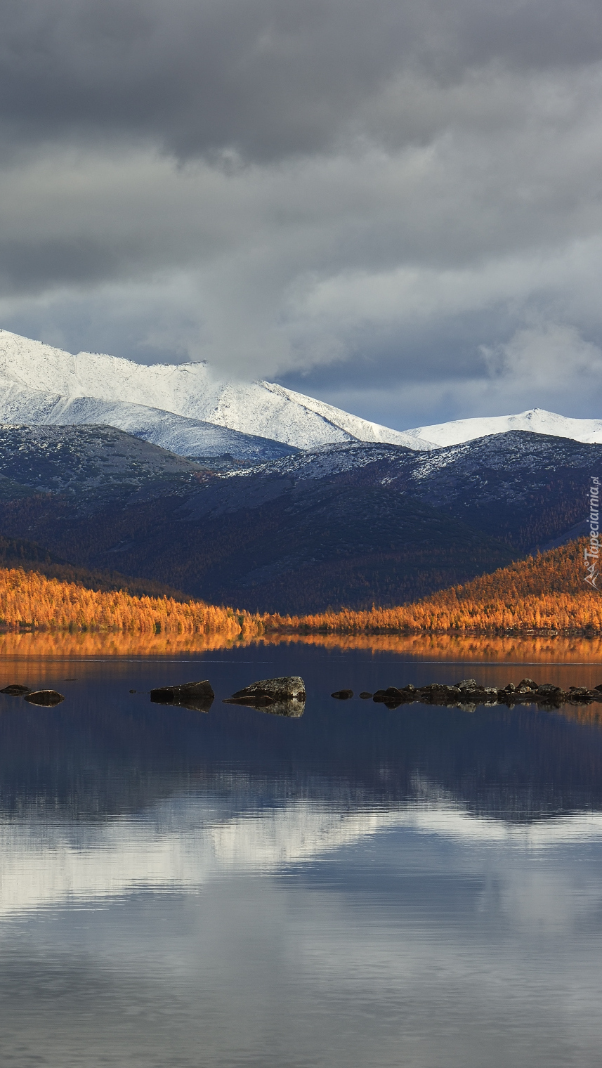 Drzewa nad jeziorem Jack London Lake