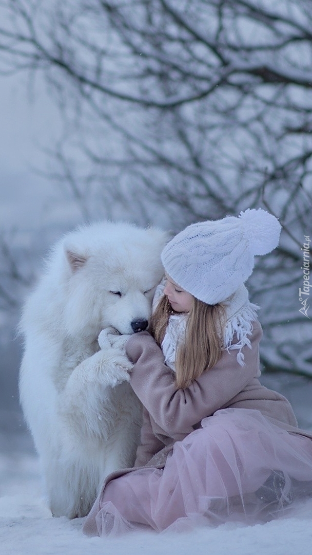 Dziewczynka i samojed  w śniegu