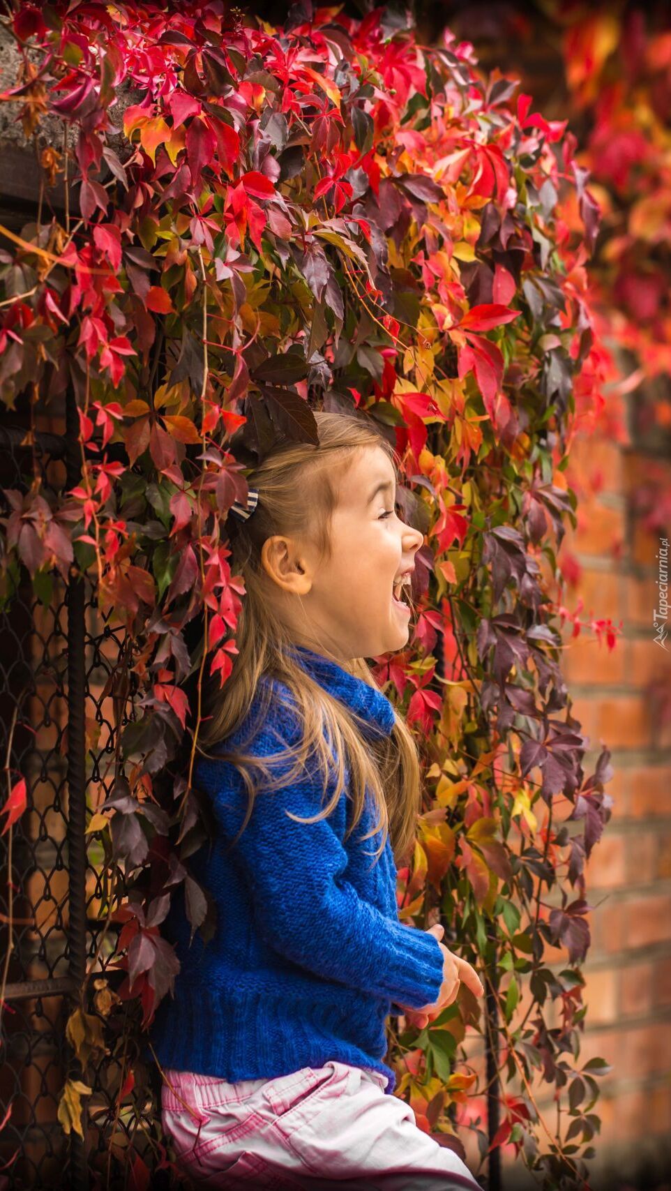 Dziewczynka przy jesiennym ogrodzeniu