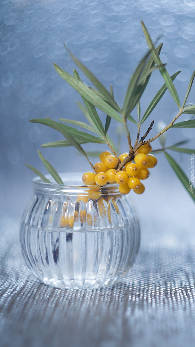 Gałązka z żółtymi owocami w szklanym wazoniku