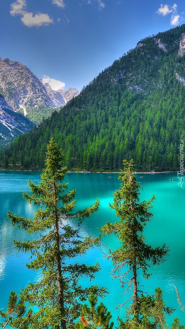 Góry i las nad jeziorem