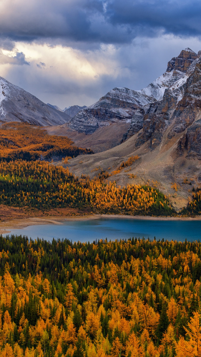 Góry Skaliste i pożółkłe drzewa nad jeziorem Magog Lake w prowincji Alberta