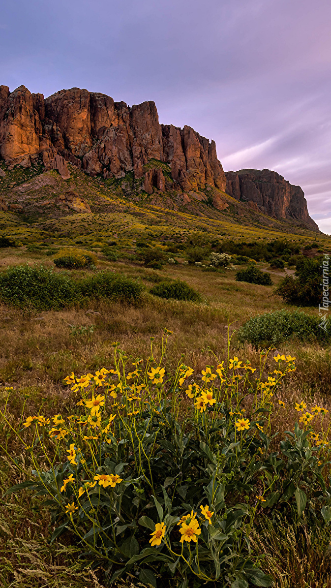 Góry Superstition Mountains w Arizonie