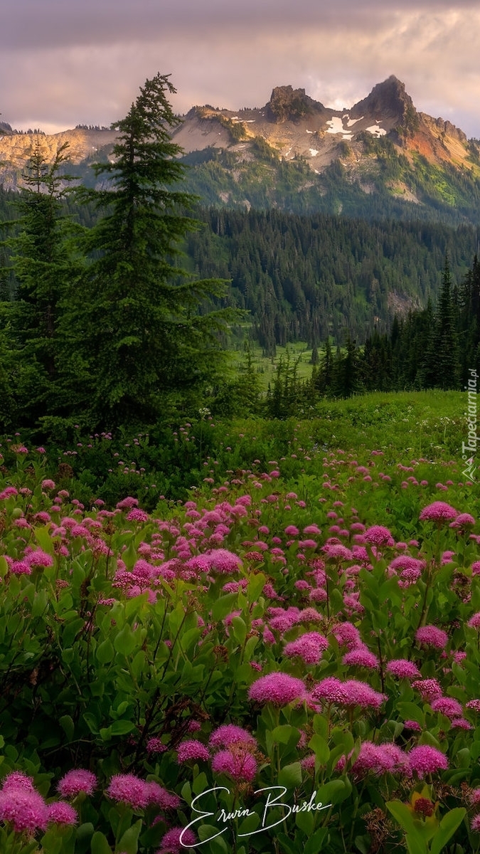 Góry Tatoosh Range