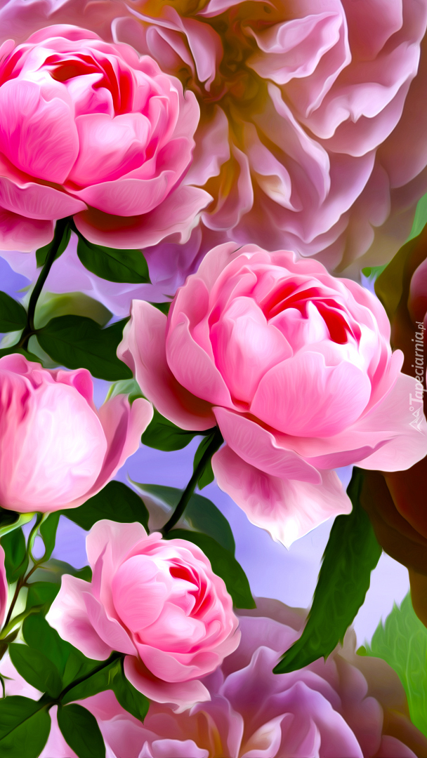 Grafika z różowymi różami