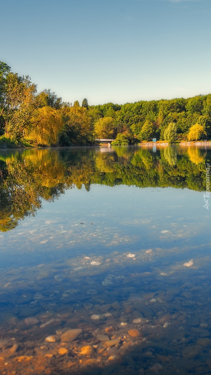 Jesień nad jeziorem