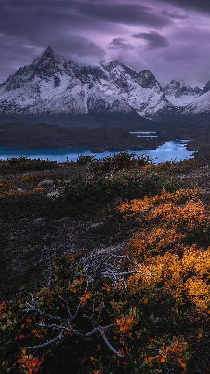 Jesienna roślinność i góry pod chmurami w Parku Narodowym Torres del Paine