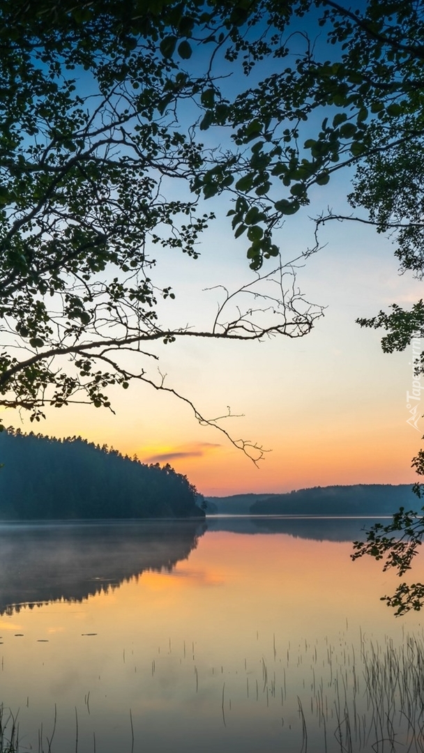 Jezioro o wschodzie słońca