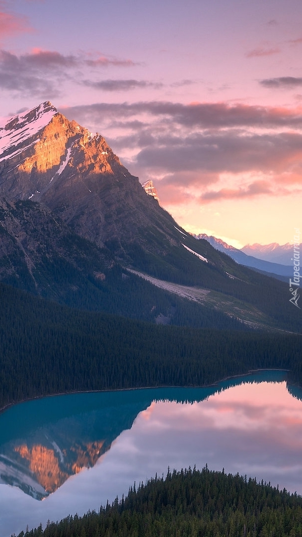 Jezioro Peyto Lake i góry Canadian Rockies