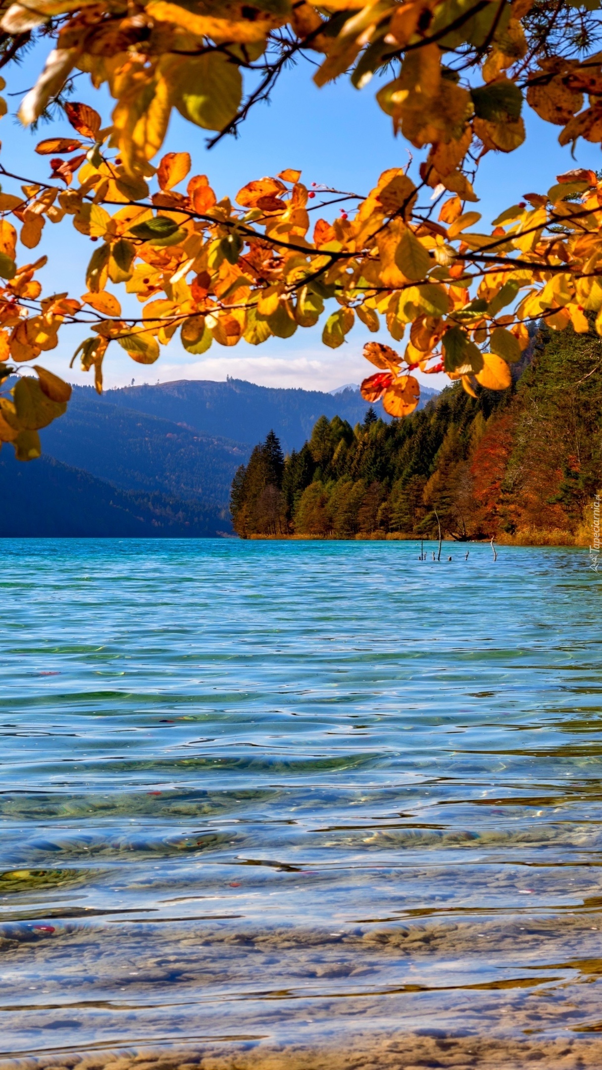 Jezioro Weissensee w jesiennych  Alpach