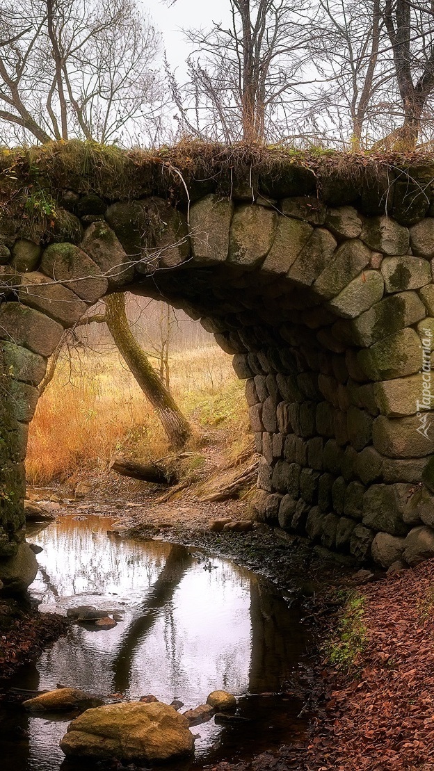 Kamienny most nad rzeczką